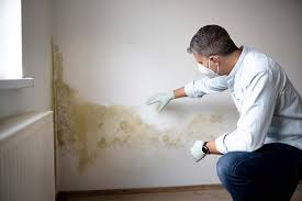 Mold Odor Removal Services in Dunn, NC